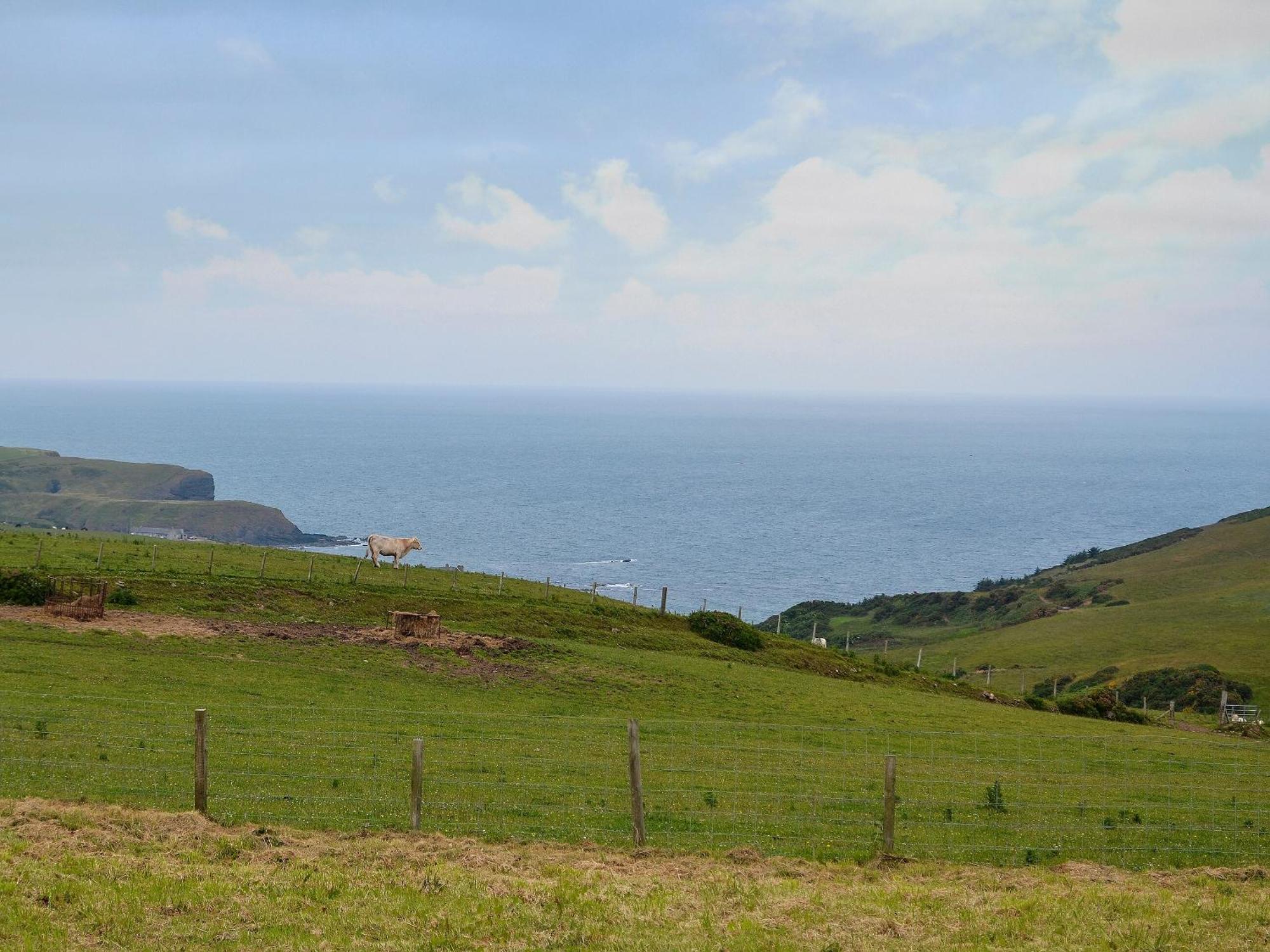 Mains Of Auchmedden Cottage Pennan Esterno foto